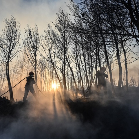 Πυροσβέστες εν μέσω καπνών 