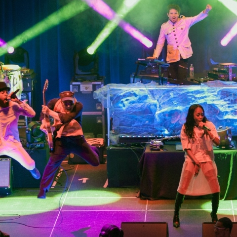 Thievery Corporation