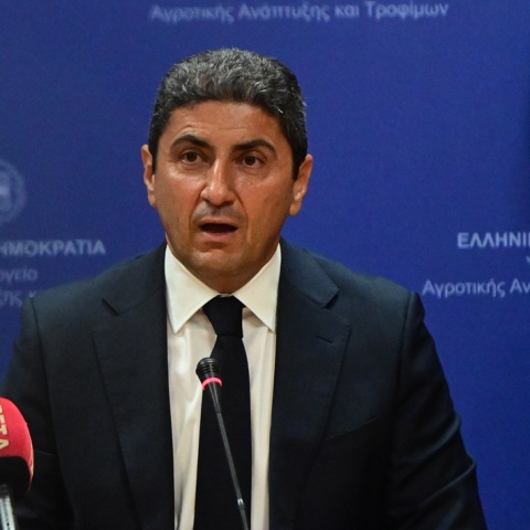 Λευτέρης Αυγενάκης