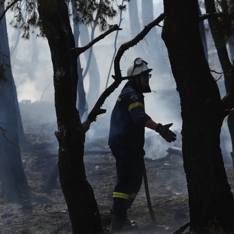 Φωτιά στα Γλυκά Νερά: Τέσσερις προσαγωγές στο Α.Τ. Παιανίας