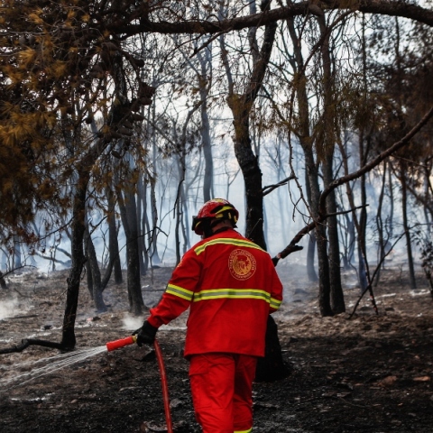 Φωτιά στα Γλυκά Νερά: Πώς ξέσπασε η πυρκαγιά 