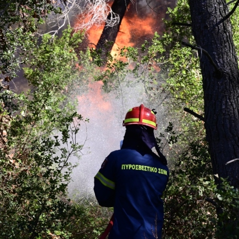 Φωτιά τώρα στο Κορωπί