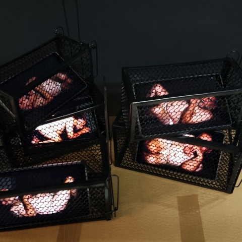 Μπάμπης Βενετόπουλος, "Rats", 2024