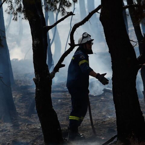 Πυροσβέστης επιχειρεί σε πυρκαγιά