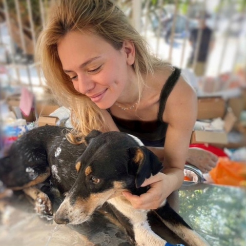 Αντικρουόμενη φιλοζωία: Βρήκα ένα ζώο, να το ανεβάσω ή θα πέσουν να με φάνε;