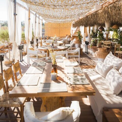 The Lemon Tree and Co.