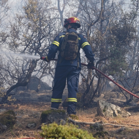 Φωτιά στον Ασπρόπυργο: Υπό μερικό έλεγχο η πυρκαγιά σε χαμηλή βλάστηση