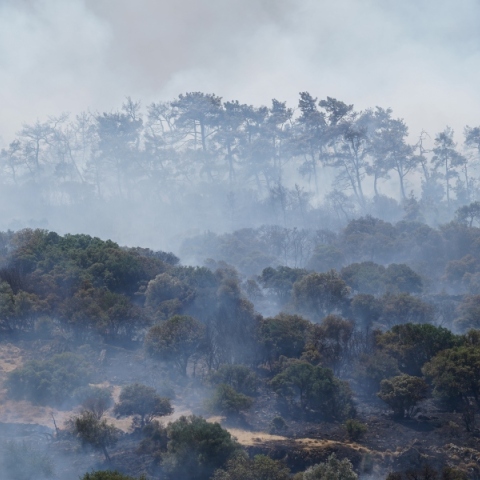 Φωτιά στη Λέσβο: Χωρίς ενεργό μέτωπο η φωτιά στο Μανταμάδο
