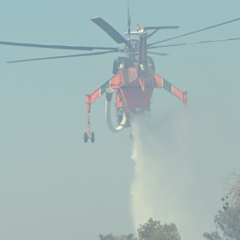 Φωτιά τώρα στα Φάρσαλα 