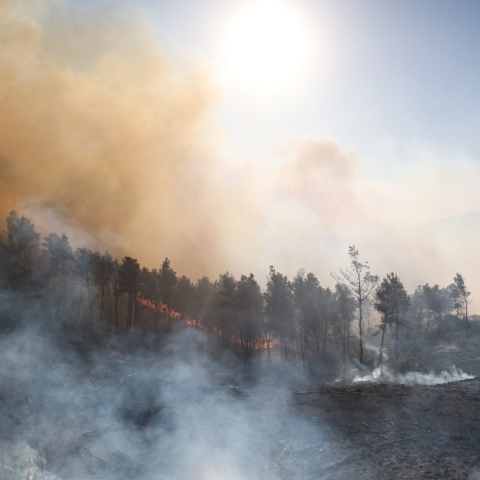 Κίνδυνος πυρκαγιάς σε πολλές περιοχές της Ελλάδας