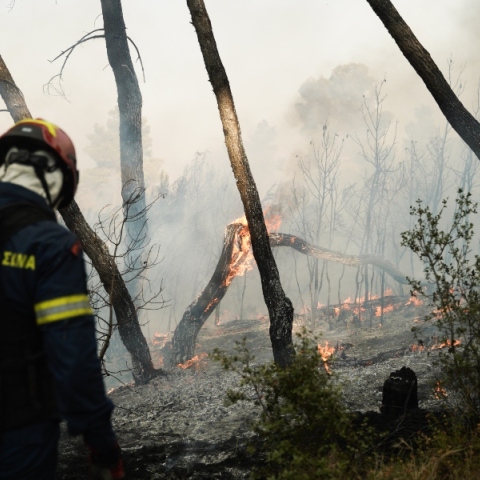 Φωτιά τώρα στην Πρέβεζα 