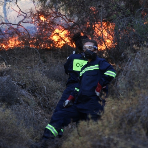 Φωτιά τώρα στη Μαγούλα Ελευσίνας