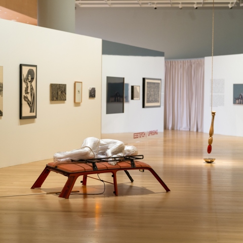 Άποψη της έκθεσης "Δημοκρατία" στην Εθνική Πινακοθήκη