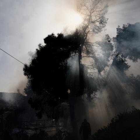 Πολύ υψηλός κίνδυνος πυρκαγιάς σήμερα σε Έβρο και Ροδόπη