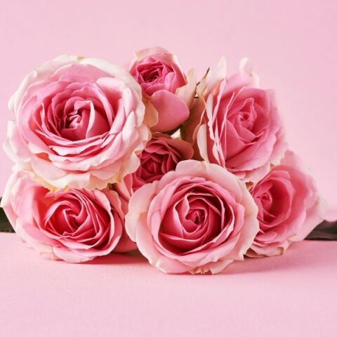 Εορτολόγιο: Ποιοι γιορτάζουν σήμερα 15 Ιουλίου 2024; Η Athens Voice σου τους θυμίζει