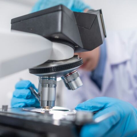 Γρίπη των πτηνών: Γιατί οι αγελάδες είναι επικίνδυνες για να ξεκινήσει μία πανδημία Η5Ν1- Γιατί ανησυχεί τόσο πολύ τους επιστήμονες η ανίχνευση στα βοοειδή.