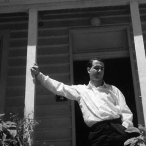 Η ζωή του Κώστα Ταχτσή μέσα από τα μάτια της Cassi Plate