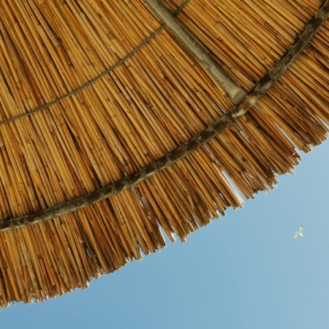 Ατενίζοντας το απέραντο γαλάζιο στη Χαλκιδική 