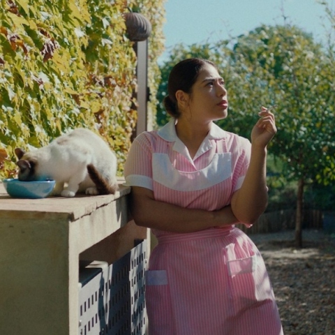 Η σιωπηλή καμαριέρα