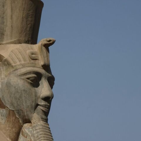 untitled_design_-_2024-07-18t222802_954