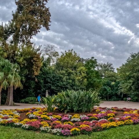 Δήμος Αθηναίων: Αυξημένα μέτρα ασφαλείας λόγω ισχυρών ριπών ανέμου στην Αττική - Κλειστός ο Εθνικός Κήπος - Σε ετοιμότητα ο μηχανισμός