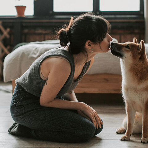 Η συμβίωση με ζώα είναι σημάδι πολιτισμού. Όμως τι αισθάνονται τα ζώα;