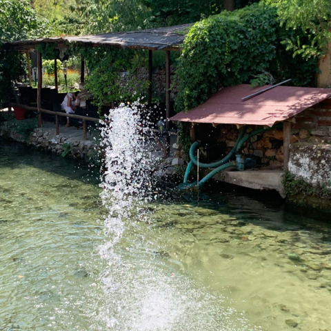 Ταβέρνα: Κρύα νερά