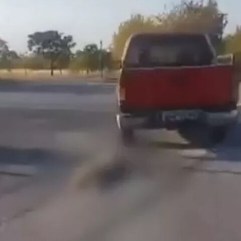 Βέροια: Έδεσε και έσερνε σκύλο με το αγροτικό του αυτοκίνητο