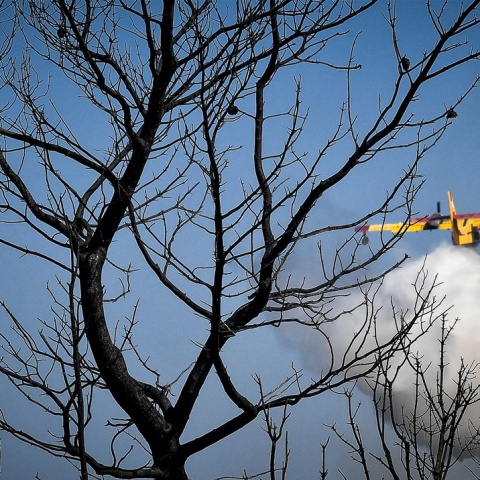 Αεροσκάφος της Πυροσβεστικής επιχειρεί για την κατάσβεση φωτιάς