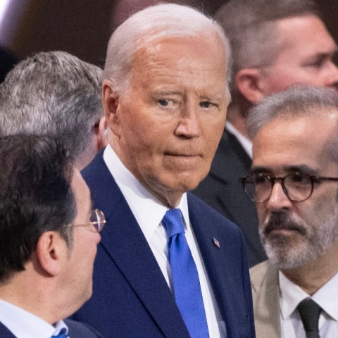 Μπάιντεν μαινόμενος 