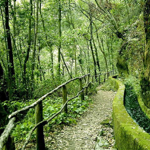 Περιβαλλοντικά προβλήματα: Λύσεις από την τεχνολογία, αδιέξοδα από ιδεολογία