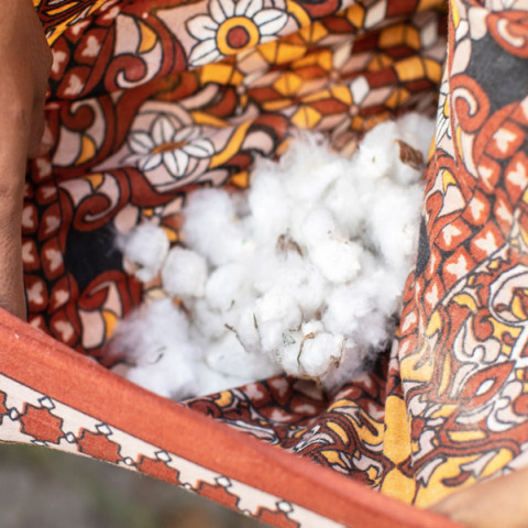 Better Cotton: Η Pepco δίνει μήνυμα βιωσιμότητας για την προστασία του περιβάλλοντος