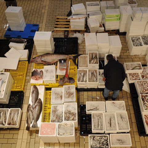 Χαράματα στην Ιχθυόσκαλα Κερατσινίου με τη Μάρω Κουρή