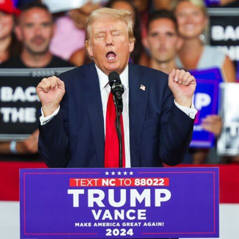 Παραλήρημα Τραμπ κατά της Κάμαλα Χάρις - «Τρελή της Αριστεράς, θέλει να εκτελούνται μωρά»