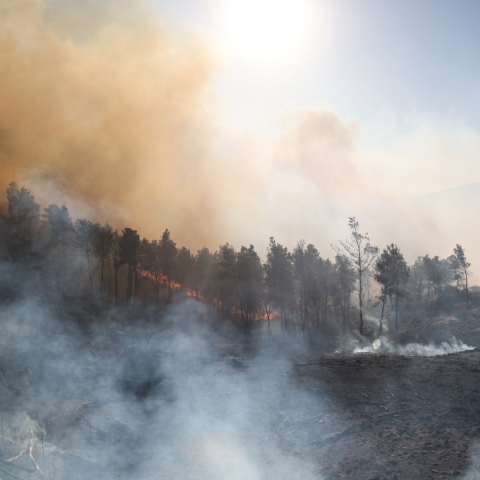 Πολύ υψηλός o κίνδυνος πυρκαγιάς και την Κυριακή 18.08