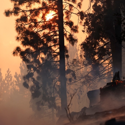 Πολύ υψηλός κίνδυνος φωτιάς σε Αττική και άλλες 9 περιοχές σήμερα 23.8