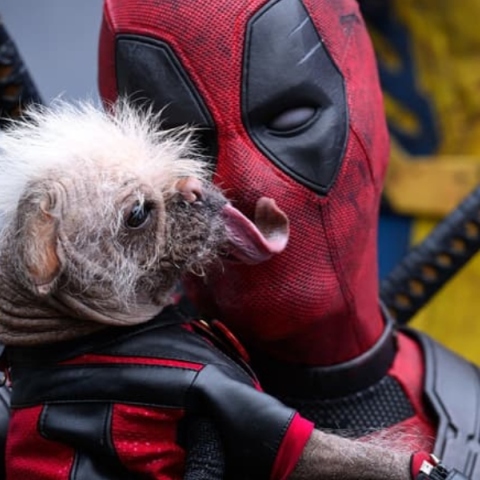 Deadpool & Wolverine: Ποια είναι η Dogpool;