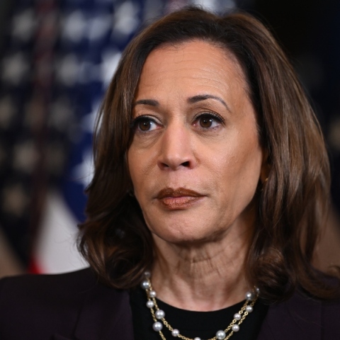 Η Κάμαλα Χάρις αναζητά τον νέο αντιπρόεδρο των Δημοκρατικών 