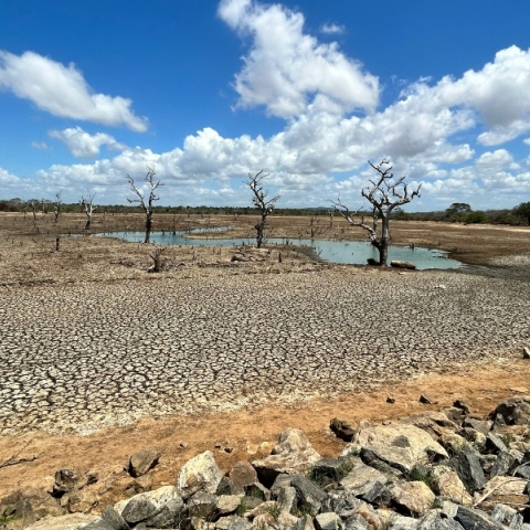 Λέκκας για λειψυδρία: Σε οριακή κατάσταση τα φράγματα