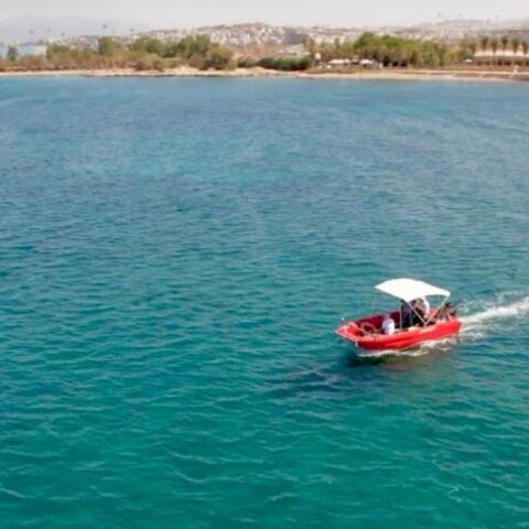 untitled_design_-_2024-07-29t153307_625