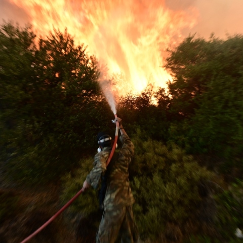 Φωτιά τώρα στην Εύβοια στην περιοχή Πισσώνα