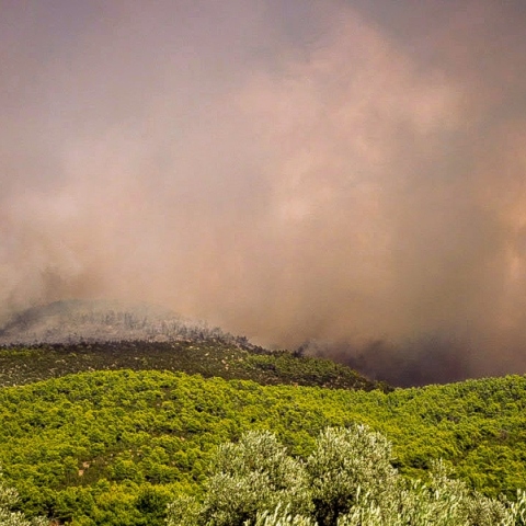 Φωτιές: Η ενημέρωση της πυροσβεστικής