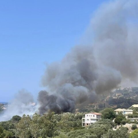 Εικόνα από τη φωτιά στο χωριό Ντομάτα στην Κεφαλονιά