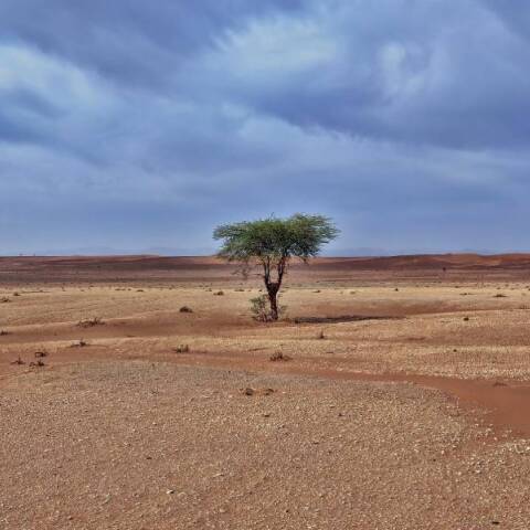 Λειψυδρία: Ο Φανοίκος Σακελλαράκης και η Μιράντα Βατικιώτη μιλούν για το έργο Med-RESET της Medina και το πώς μπορεί να δώσει λύσεις στο πρόβλημα.