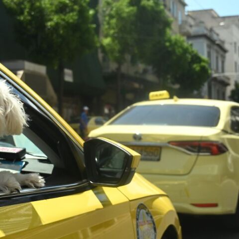 Ταξί: Υποχρεωτική ενημερωτική σήμανση για την αποδοχή πληρωμών με κάρτα - Θα τοποθετείται ειδικό αυτοκόλλητο στα οχήματα.