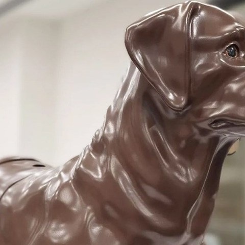 Ευρωπαϊκό Πανεπιστήμιο Κύπρου: Σχολή κτηνιατρικής