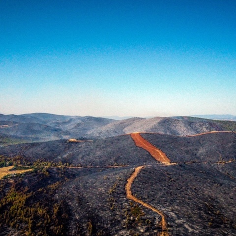 Καμένες εκτάσεις από τη φωτιά στην Εύβοια (εναέρια λήψη) 