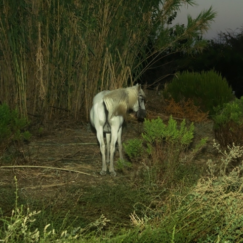 «Η δική μου Λήμνος»