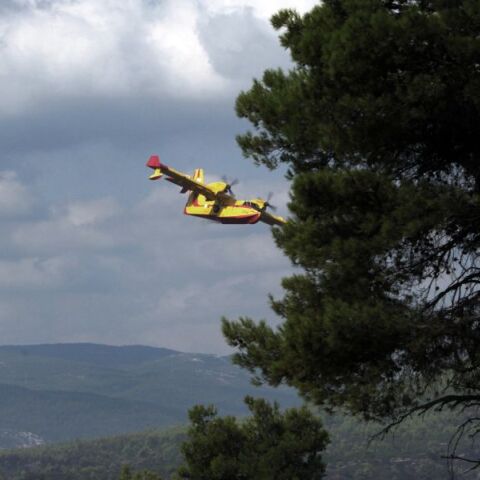 Φωτιά στην Καρδίτσα: Σε δάσος κοντά στη Λίμνη Πλαστήρα - Ισχυρές δυνάμεις της Πυροσβεστικής, στη μάχη και εναέρια μέσα. 