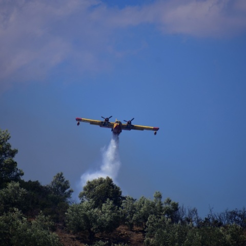 Πυροσβεστικό αεροσκάφος
